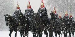 Military Uniform Suppliers - Firmin House